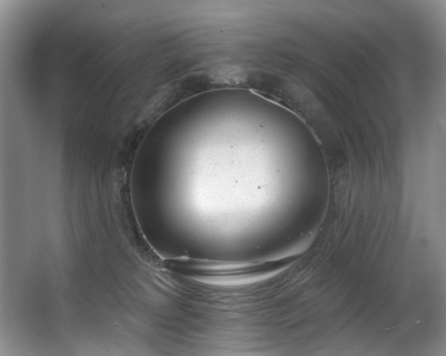 X0000063490229200601201318