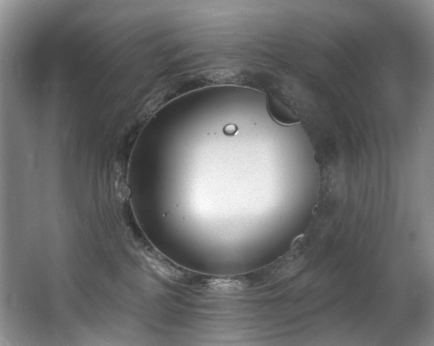 X0000063490234200601201317