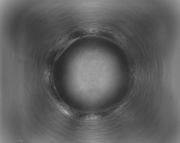 X0000063490235200601201317