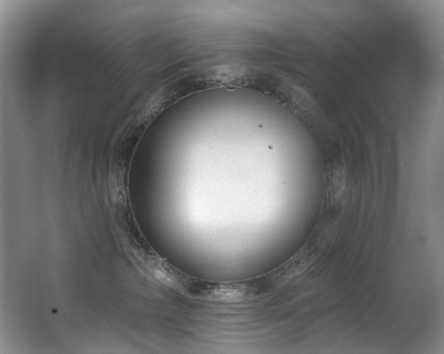 X0000063490236200601201317