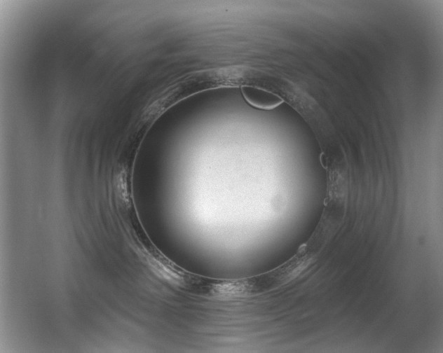 X0000063490238200601201317