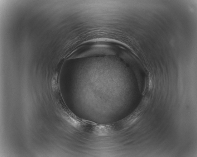 X0000063490239200601201317