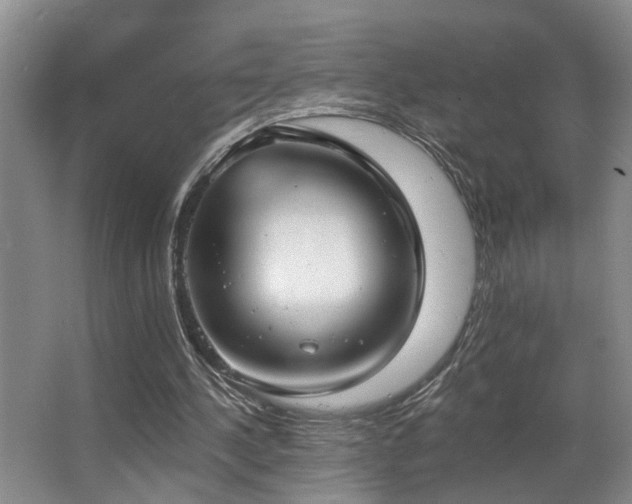 X0000063490244200601201317
