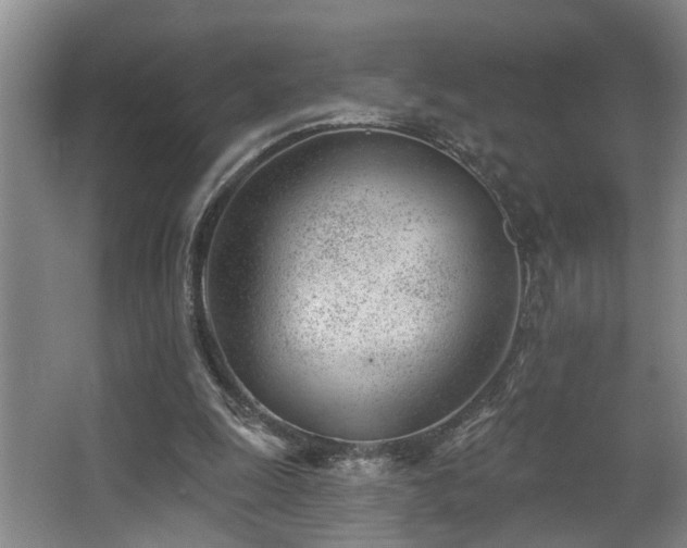 X0000063490247200601201317