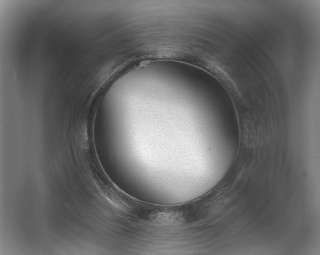 X0000063490251200601201317