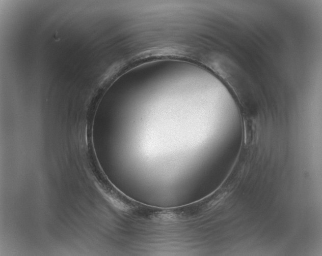 X0000063490253200601201317