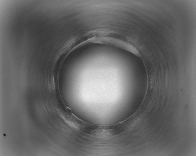 X0000063490254200601201317