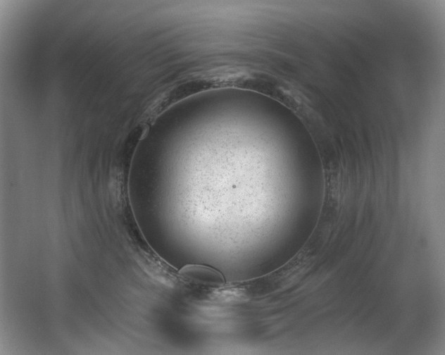 X0000063490283200601201317