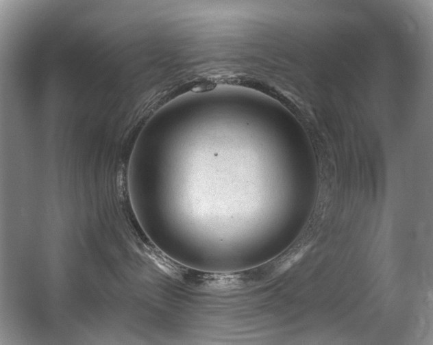 X0000063490288200601201317