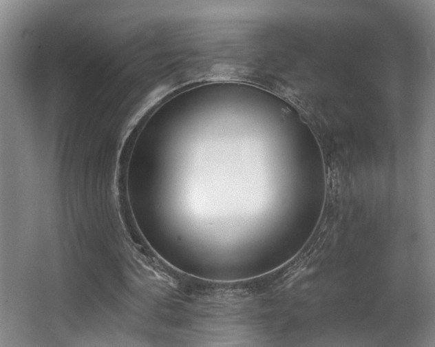 X0000063490292200601201316