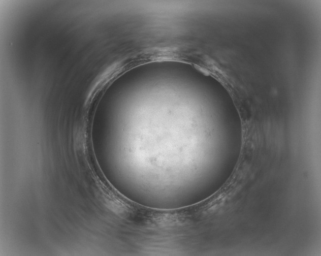 X0000063490293200601201316