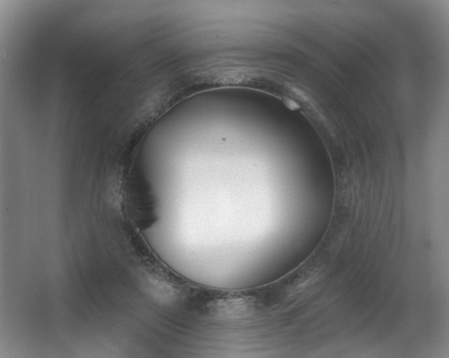 X0000063490307200601201316