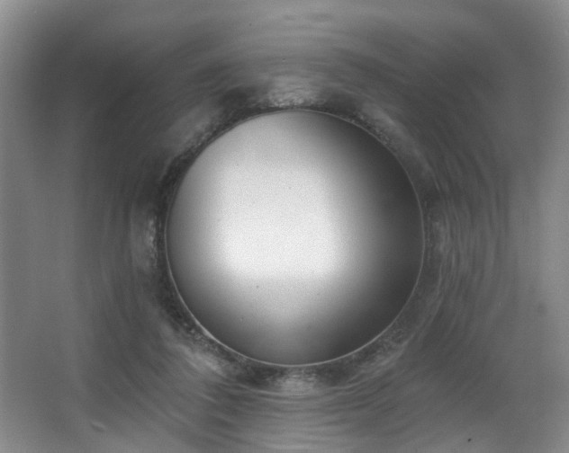 X0000063490308200601201316