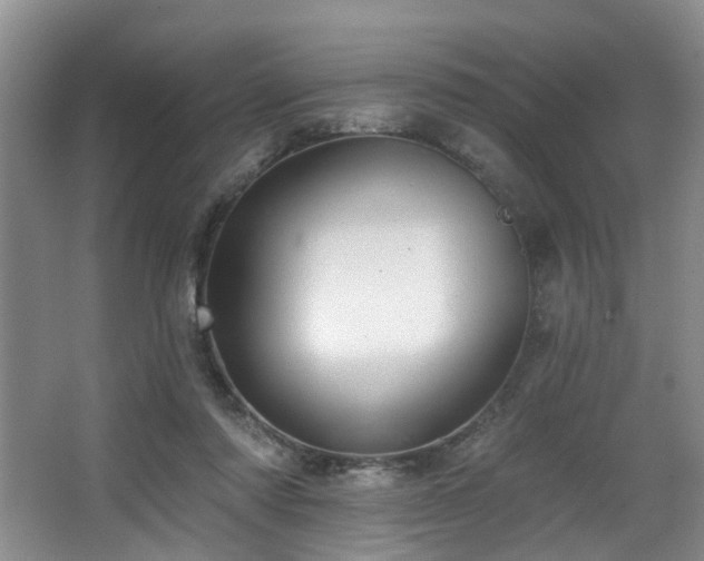 X0000063490310200601201316
