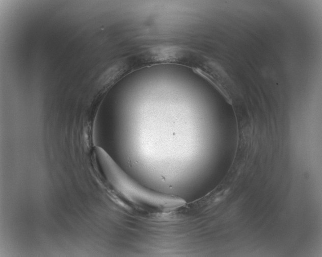 X0000063490325200601201316