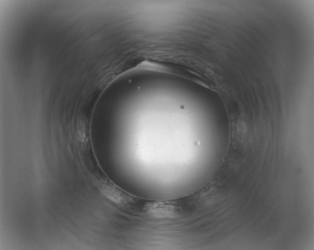 X0000063490331200601201316