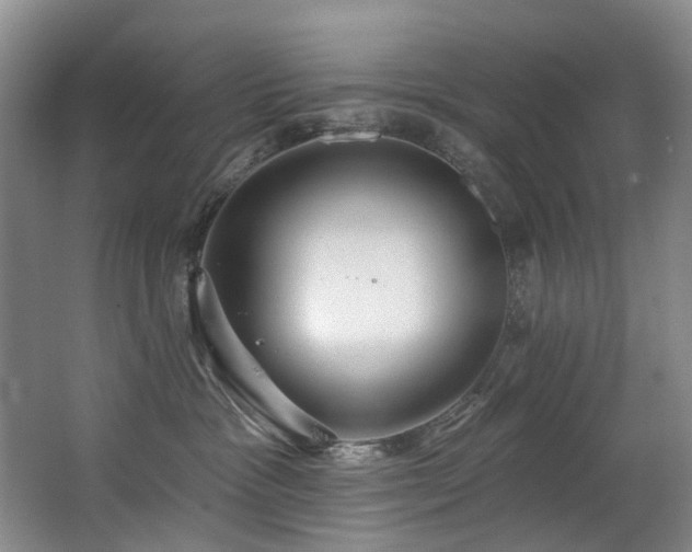 X0000063490333200601201316