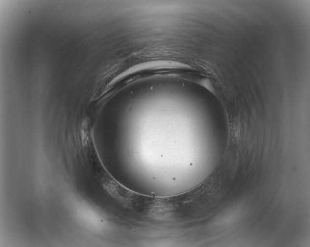 X0000063490335200601201316