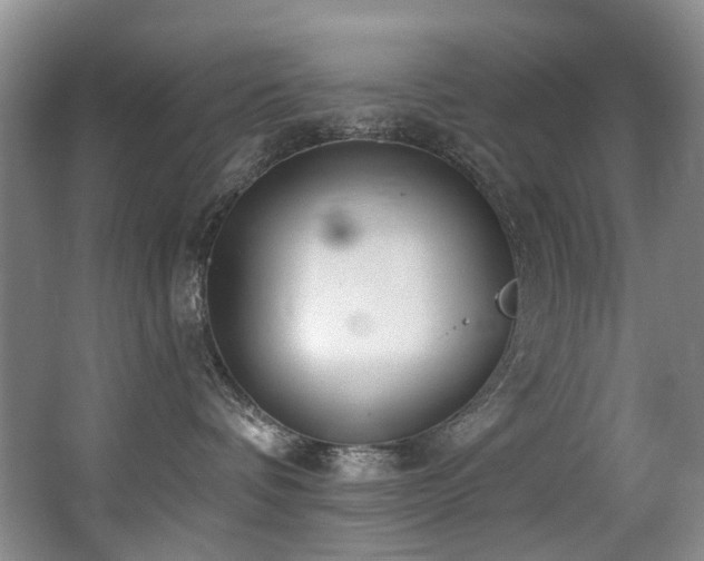 X0000063490336200601201316