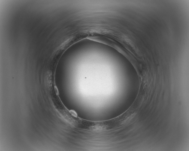 X0000063490356200601201315