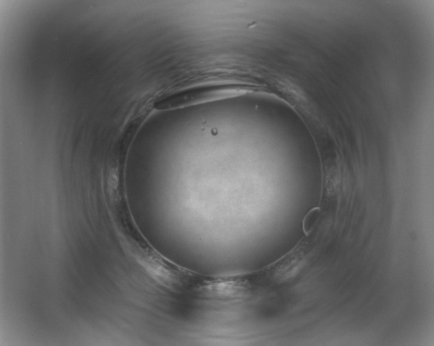 X0000063490365200601201315