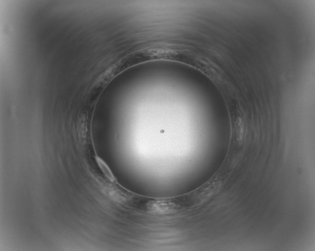X0000063490372200601201316