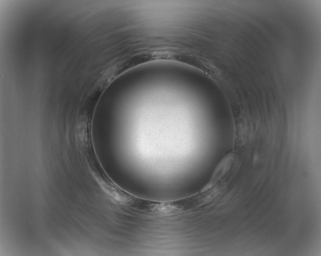 X0000063490379200601201316