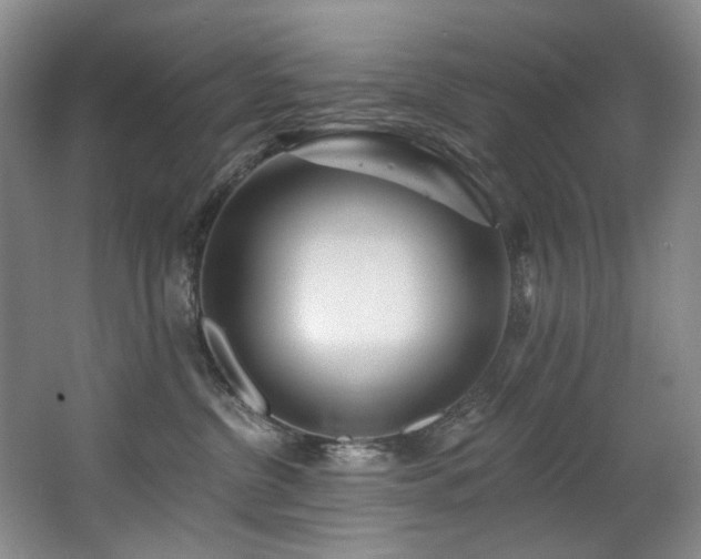 X0000063490380200601201316