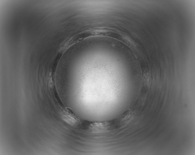 X0000063490381200601201316