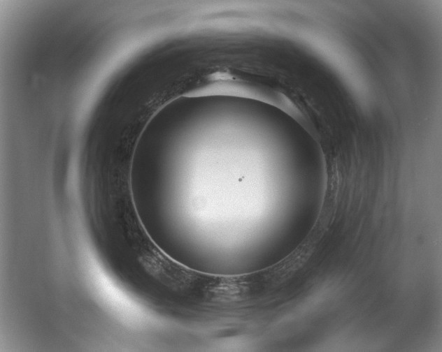 X0000063490383200601201316