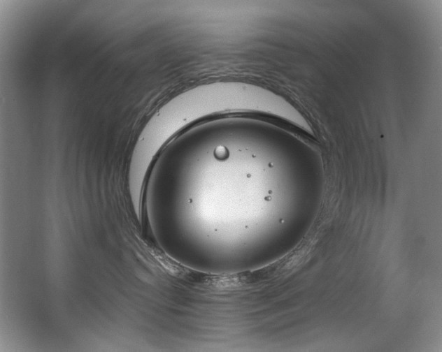X0000063490384200601201316