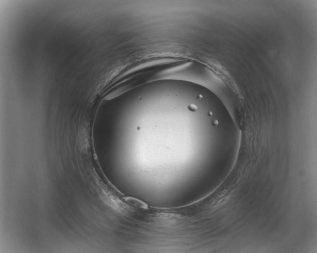X0000063490393200601201315
