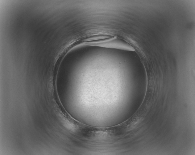 X0000063490394200601201315