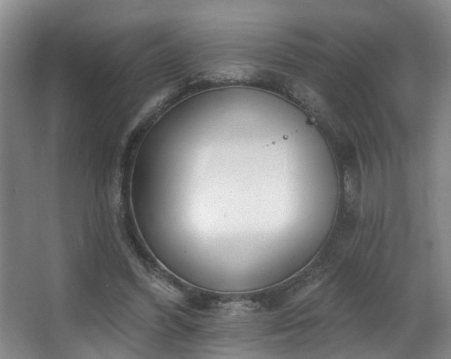 X0000063490396200601201315
