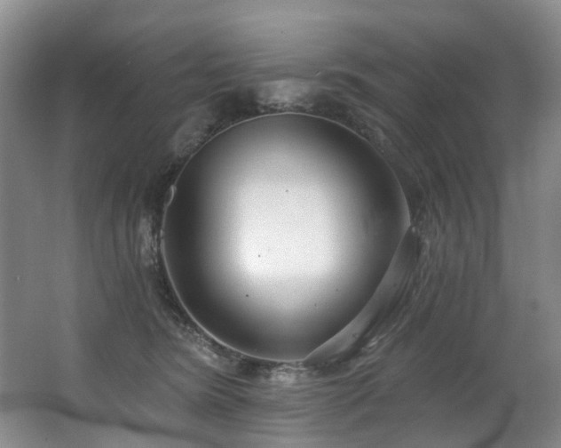 X0000063490420200601201314