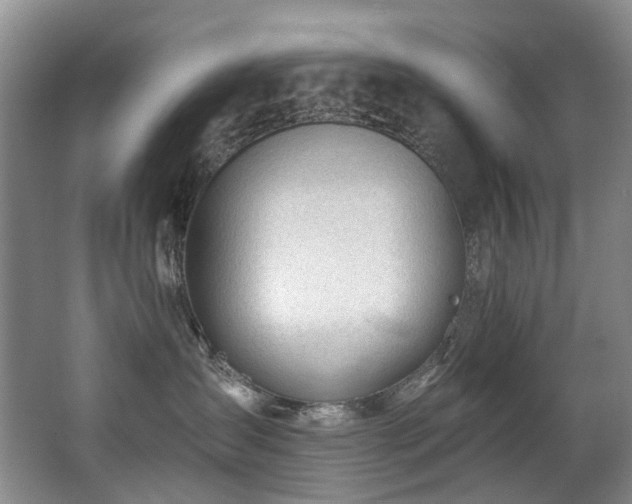 X0000063490431200601201314