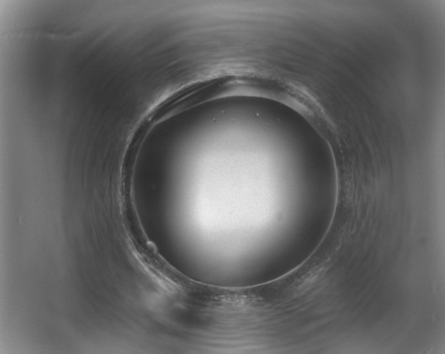 X0000063490439200601201313