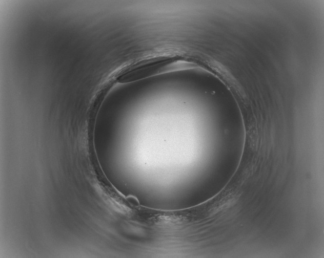 X0000063490442200601201313