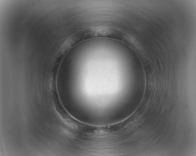X0000063490451200601201314
