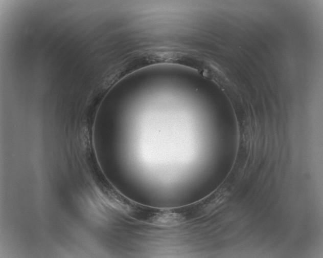 X0000063490459200601201314