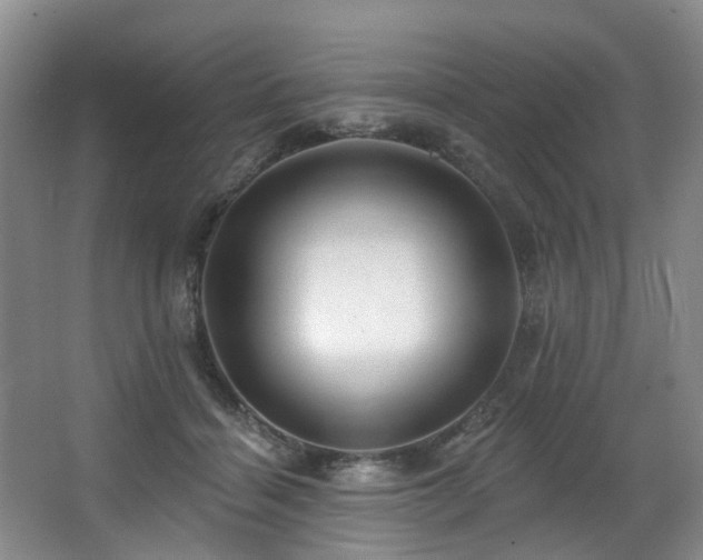 X0000063490460200601201314