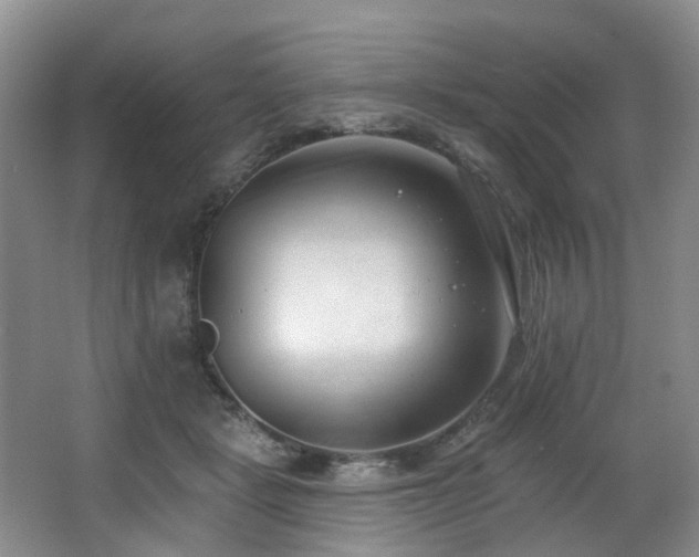 X0000063490461200601201314