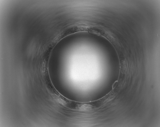 X0000063490463200601201314