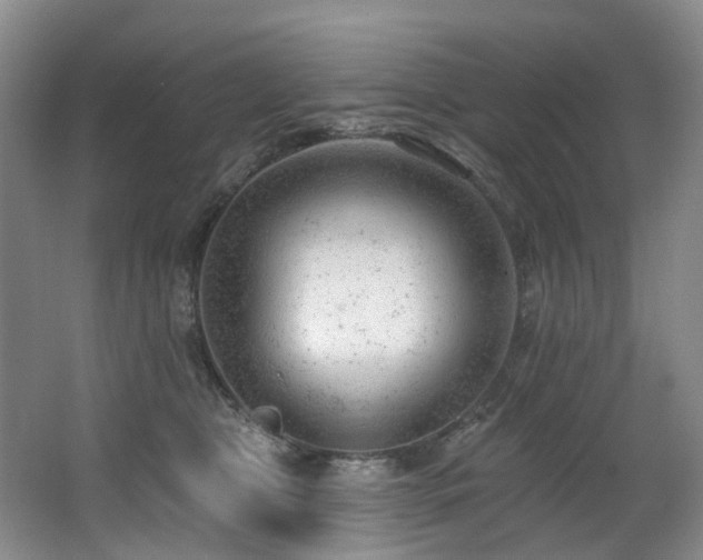 X0000063490469200601201314