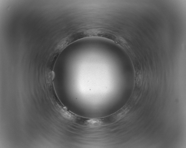 X0000063490477200601201314