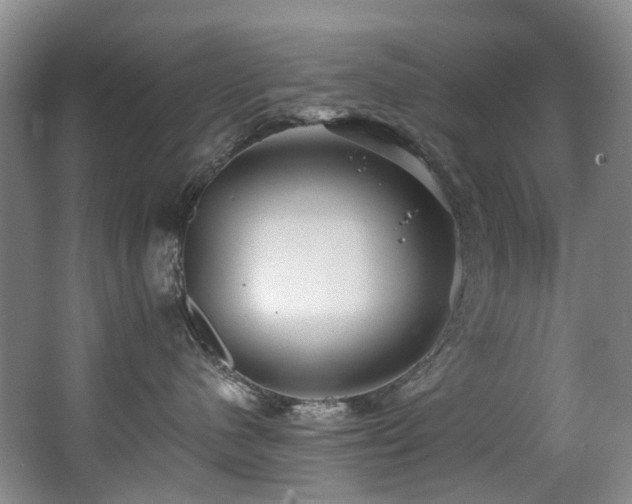 X0000063490480200601201314