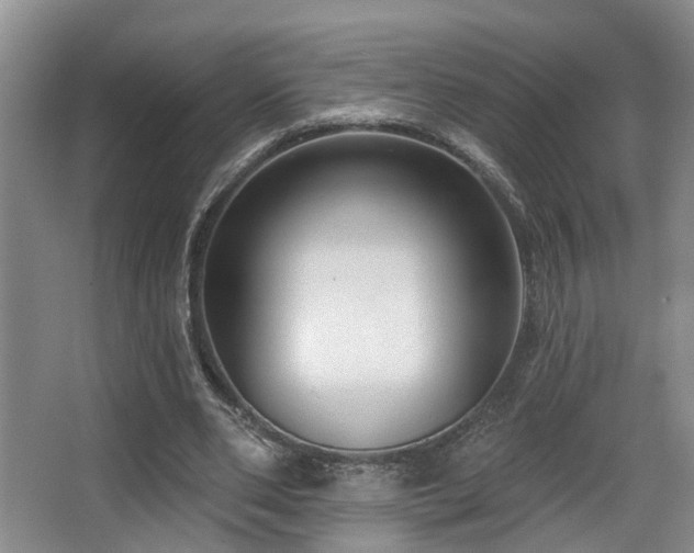 X0000063490486200601201313