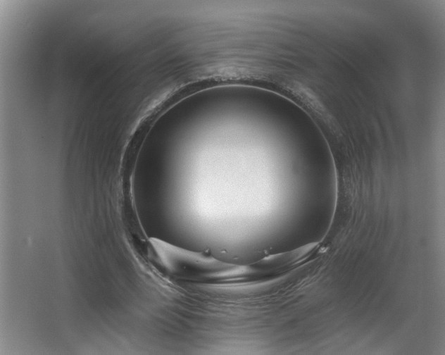 X0000063490488200601201313
