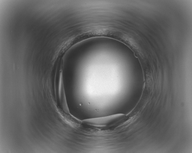 X0000063490493200601201313