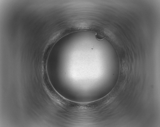 X0000063490494200601201313